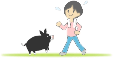 脂肪の燃焼効果!!