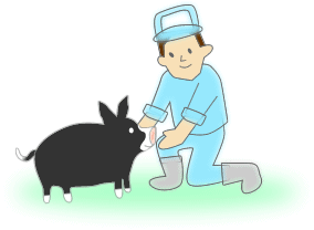 さらにおいしい豚肉を品種改良への情熱は休まない