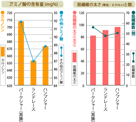 かごしま黒豚の特徴