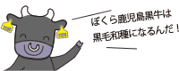 ぼくら鹿児島黒牛は黒毛和種になるんだ!