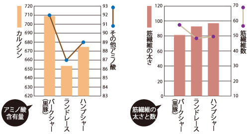 「アミノ酸含有量」と「筋繊維の太さと数」のグラフ