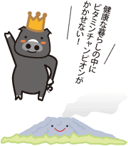 健康な暮らしの中にビタミンチャンピオンがかかせない!