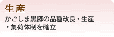 生産(かごしま黒豚の品種改良・生産・集荷体制を確立)