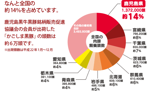 全国の肉豚飼養頭数の円グラフ。鹿児島県はなんと全国の約14%を占めています。