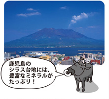 鹿児島の知らす大地には豊富なミネラルがたっぷり!